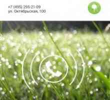 2Gis dialer