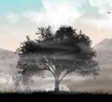 Amazing land