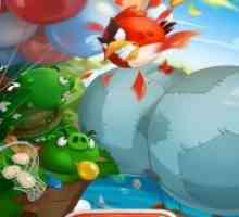 Angry birds blast