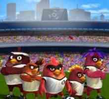 Angry birds goal!