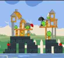 Angry birds seasons