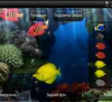 Aquarium
