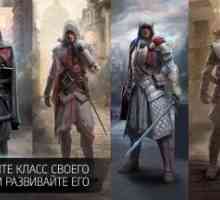 Assassins creed identity