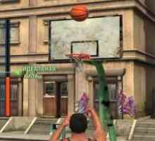 Basketball stars