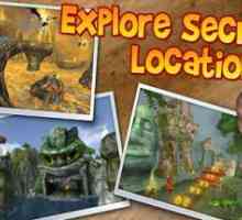 Beach buggy blitz