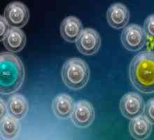 Biotix: phage genesis