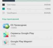 Cache cleaner