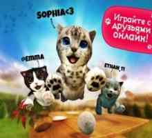 Cat simulator