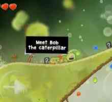 Caterzillar