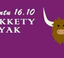Що нового в ubuntu 16.10