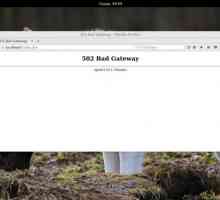 Що значить 502 bad gateway nginx