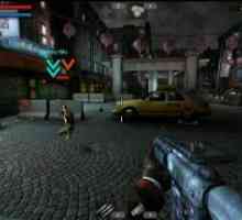 Contract killer 2