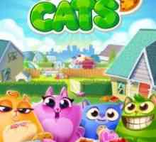 Cookie cats