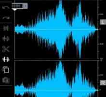 Doninn audio cutter