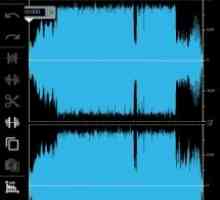 Doninn audio editor