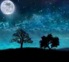 Dream night pro