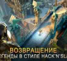 Dungeon hunter 5