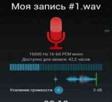 Easy voice recorder pro