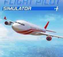 Flight pilot simulator 3d