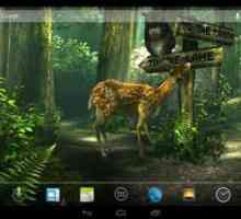 Forest hd