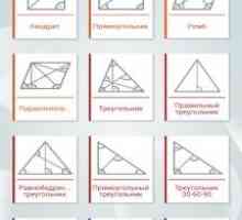 Geometry solver pro