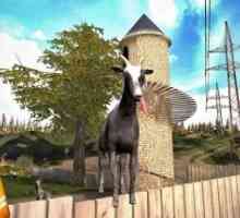 Goat simulator