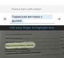 Google translate