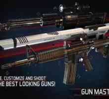 Gun master 2