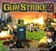 Gun strike 2