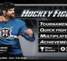 Hockey fight pro