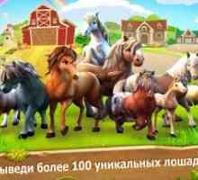 Horse haven world adventures