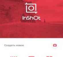 Inshot