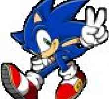 Як грати в sega на комп`ютері