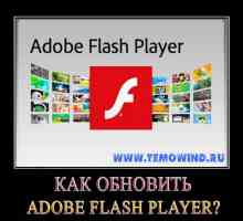 Як оновити adobe flash player на комп`ютері