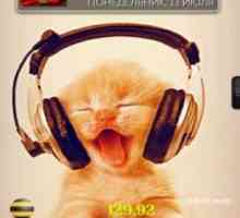 Kitty music