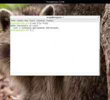 Команда cat linux