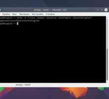 Команда echo в linux