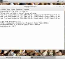 Команда ping в linux
