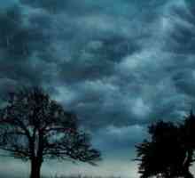 Live storm pro wallpaper