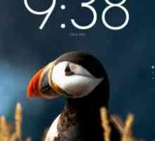 Lucid launcher pro