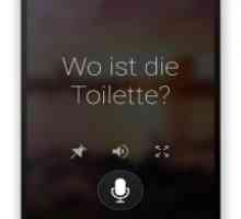 Microsoft translator