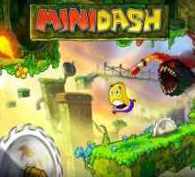 Mini dash