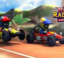 Mini racing adventures