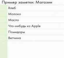 Mobisle notes