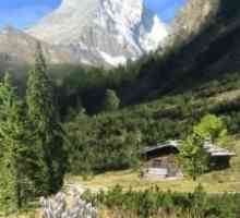 Mountain summer