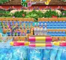 My dolphin show