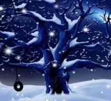 My season tree