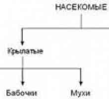 Спадкування класів в php