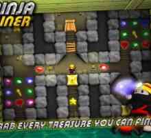 Ninja miner
