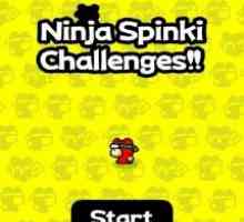 Ninja spinki challenges